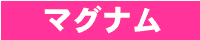 風俗店の無料ホームページ制作